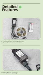 Detail of LED copper wire light set with remote control and IP44 waterproof adapter