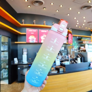 Close-up of frosted gradient sports water bottle with time markers and motivational quotes