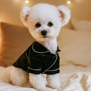 Luxurious black satin dog pajamas with white piping for small pets like poodles