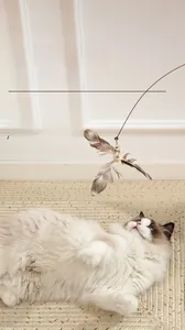 Detail view of long flexible wand with natural feathers and bell for cat play