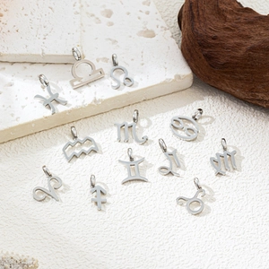 Set of 12 silver titanium steel zodiac sign pendants displayed on textured stone surface