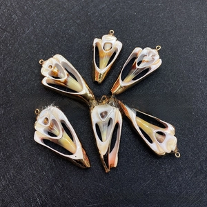 Detailed view of six natural shell pendants with golden metal edges and hanging loops