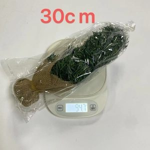 30cm artificial Christmas greenery bunch wrapped in brown burlap on a scale