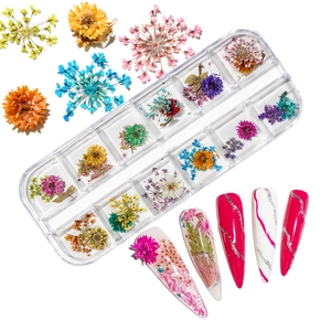 Nail art dried flowers in 12-grid box with mixed colorful hydrangea and daisy blooms