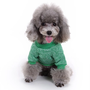 Nahaufnahme eines warmen grünen Hundepullovers aus Strick auf einem grauen Pudel