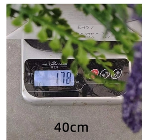Primo piano di una bilancia digitale da cucina con piatto in metallo e display LCD del peso