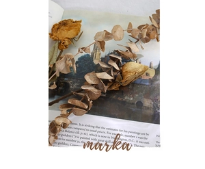 Macro shot of dried yellow rose and eucalyptus leaves on a vintage book backdrop