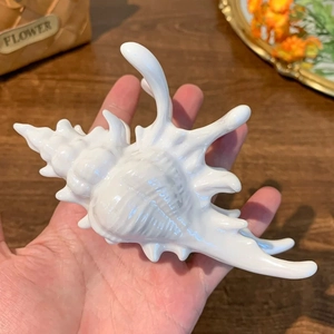 Close-up of a white acrylic seashell hair claw clip showing realistic texture and size