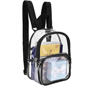 Close-up of clear PVC mini backpack featuring black trim and front zipper pocket detail