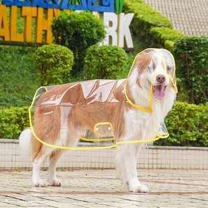 Transparent dog raincoat with yellow trim detail shown on a dog in an outdoor park setting