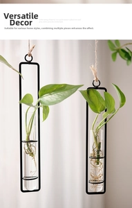 Detail of wall-mounted metal hydroponic vase with glass tube and rustic jute rope