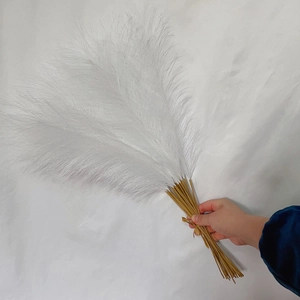 Close-up of white 55cm artificial pampas grass with soft feathery texture and brown stems