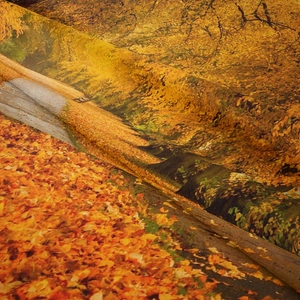 Detailed close-up of autumn forest tapestry fabric with fine texture and golden leaf prints