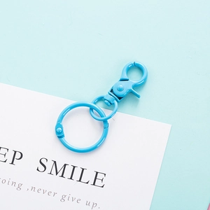 Close-up of light blue painted metal lobster clasp keychain with spring gate mechanism
