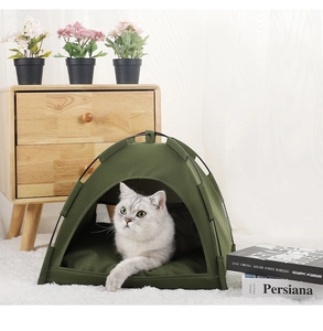 Army green canvas pet tent with soft cushion on a plush rug in a cozy home setting