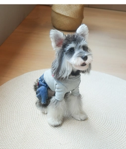 Detail van hondenoutfit met grijze gebreide top en blauwe denim overal voor kleine honden