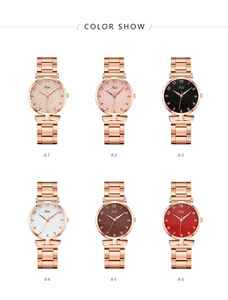 Showcase of six fashionable women's quartz watches with metallic strap and sunray dial
