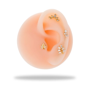 Cluster of four gold G23 titanium ear studs with cubic zirconia on a silicone model