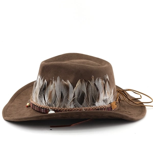 Gros plan sur chapeau de cow-boy en daim marron avec garniture de plumes et bande ethnique