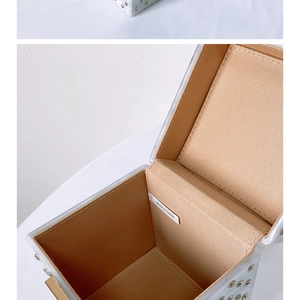 Detailed interior of acrylic evening bag featuring rivets and brown fabric lining