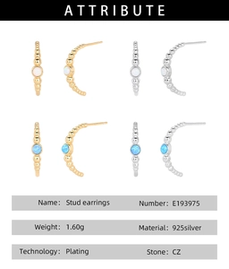 Detailed view of S925 sterling silver stud earrings with round blue and white CZ stones