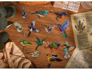 Detailed flat lay of vintage bird-themed PET stickers on a retro wooden background