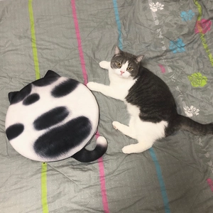 Detail of plush cat-shaped memory foam seat cushion with cute ears and tail design