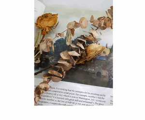 Close-up of dried rose and eucalyptus set on a vintage magazine background