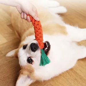 Giocattolo a carota in corda di cotone per cani piccoli con Corgi che mastica