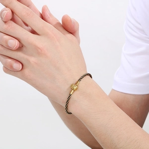 3mm braided steel wire bracelet with golden mythical beast charm on wrist