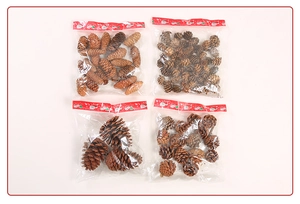 Macro view of natural pine cones in four separate bags for Christmas DIY crafts