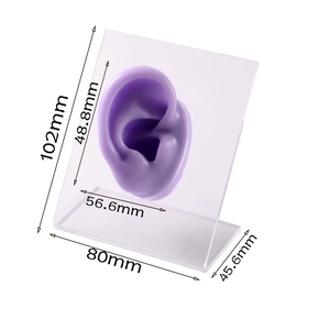 Detailed view of purple silicone ear model with acrylic stand and specific dimensions