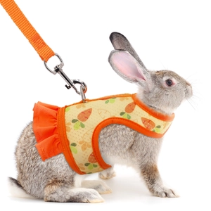 Rabbit Harness And Leash Polyester Breathable Mesh Adjustable Vest Ruffle Edge Carrot Print For Bunny Guinea Pig Small Animal