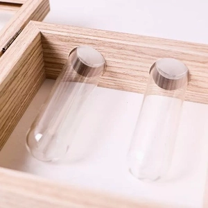 Cornice per foto creativa in legno con tubo per piante idroponiche per la decorazione