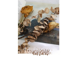 Artistic layout of vintage dried roses and eucalyptus on a book in rustic earthy tones
