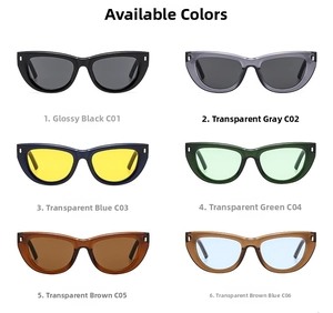 Collezione di occhiali da sole cat-eye con rivetti argentati in sei colori alla moda