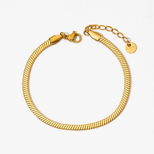 Minimalist gold stainless steel snake chain bracelet with lobster clasp and extender