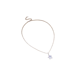 Exquisite zircon star pendant necklace in rose gold finish with a delicate chain