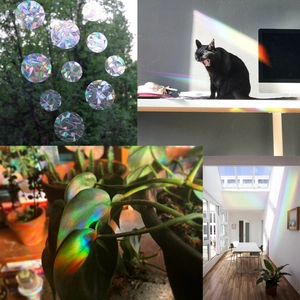 Rainbow Prism Window Cling Holographic Static Glass Film Sun Catcher Butterfly Star Cat Moon Shape Removable Anti Collision