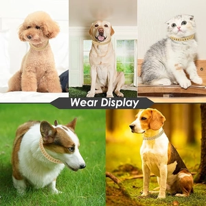 Golden Cuban diamond link chain necklace shown on various cat and dog breeds in garden settings
