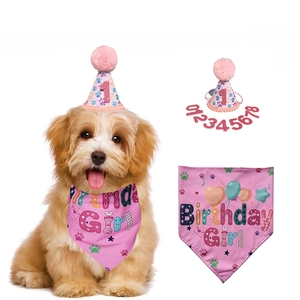 Pet Birthday Party Decoration Sequin Hat Bandana Scarf Bow Tie With Interchangeable Numbers For Dogs Cats Celebration