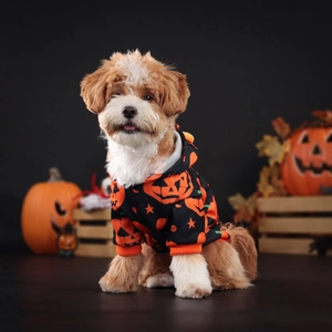 Detail of Halloween pumpkin dog hoodie with orange ribbed cuffs on black cotton fabric