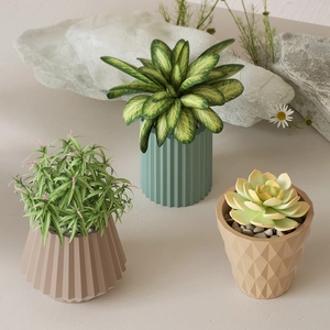 Three assorted succulent pots in decorative geometric molds on a minimalist stone base