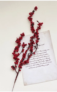 Artistic close-up of decorative red berry stems on vintage paper for Christmas decor