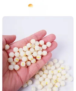 Macro view of realistic PVC lotus seeds miniature props for DIY dollhouse crafts