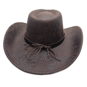 Macro view of wide brim fedora showing snakeskin texture and leather bow tie detail