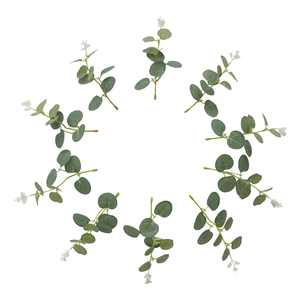 Top view of ten green artificial eucalyptus branches with frosted texture on white background