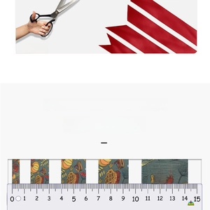 Macro detail of red polyester ribbon and patterned grosgrain ribbon with width ruler