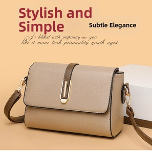 Close-up of the beige lychee-patterned leather texture and gold buckle on the square bag