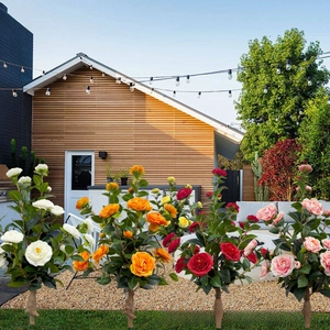 Detail of colorful artificial camellia potted plants in red, orange, white and pink colors